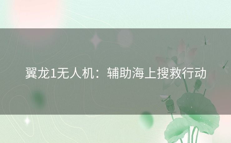 翼龙1无人机：辅助海上搜救行动