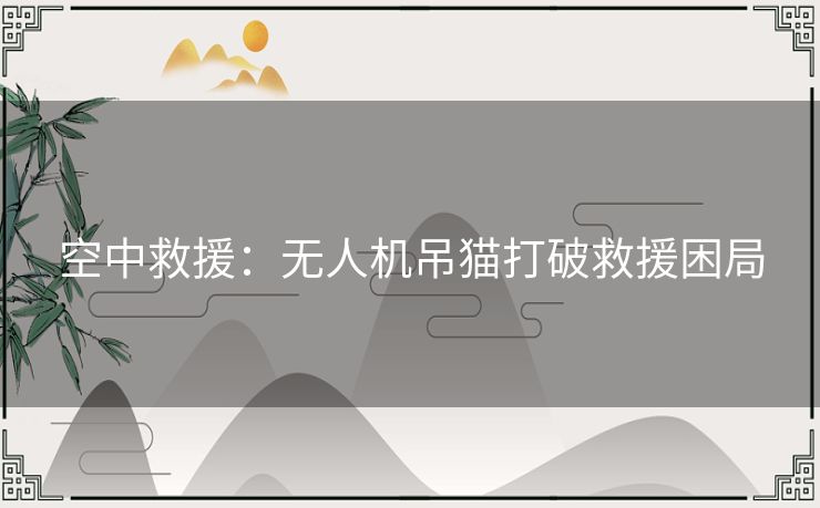 空中救援：无人机吊猫打破救援困局